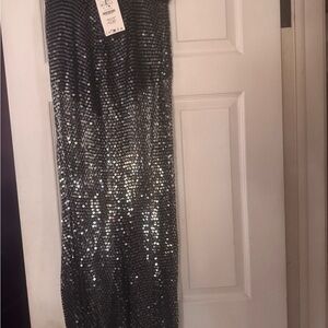 Zara Silver Sequin Cropped Pants